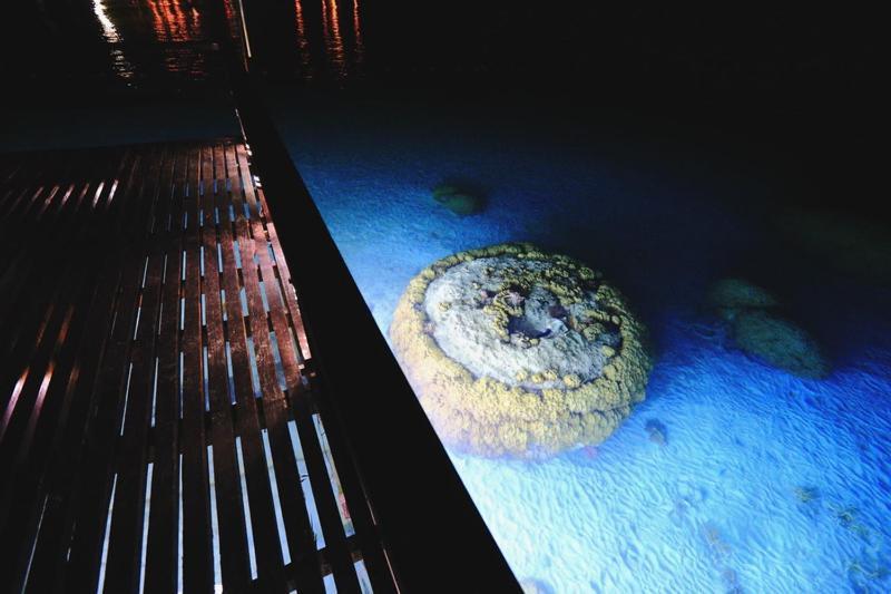 Summer Bay Resort, Lang Tengah 외부 사진